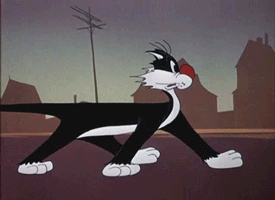 Gifs animés Gros Minet